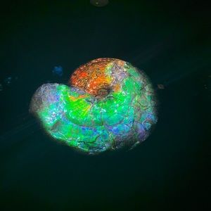 Meet your Posher, Helena